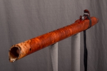 Redwood Burl Native American Flute, Minor, Low D-3, #L30F (5)